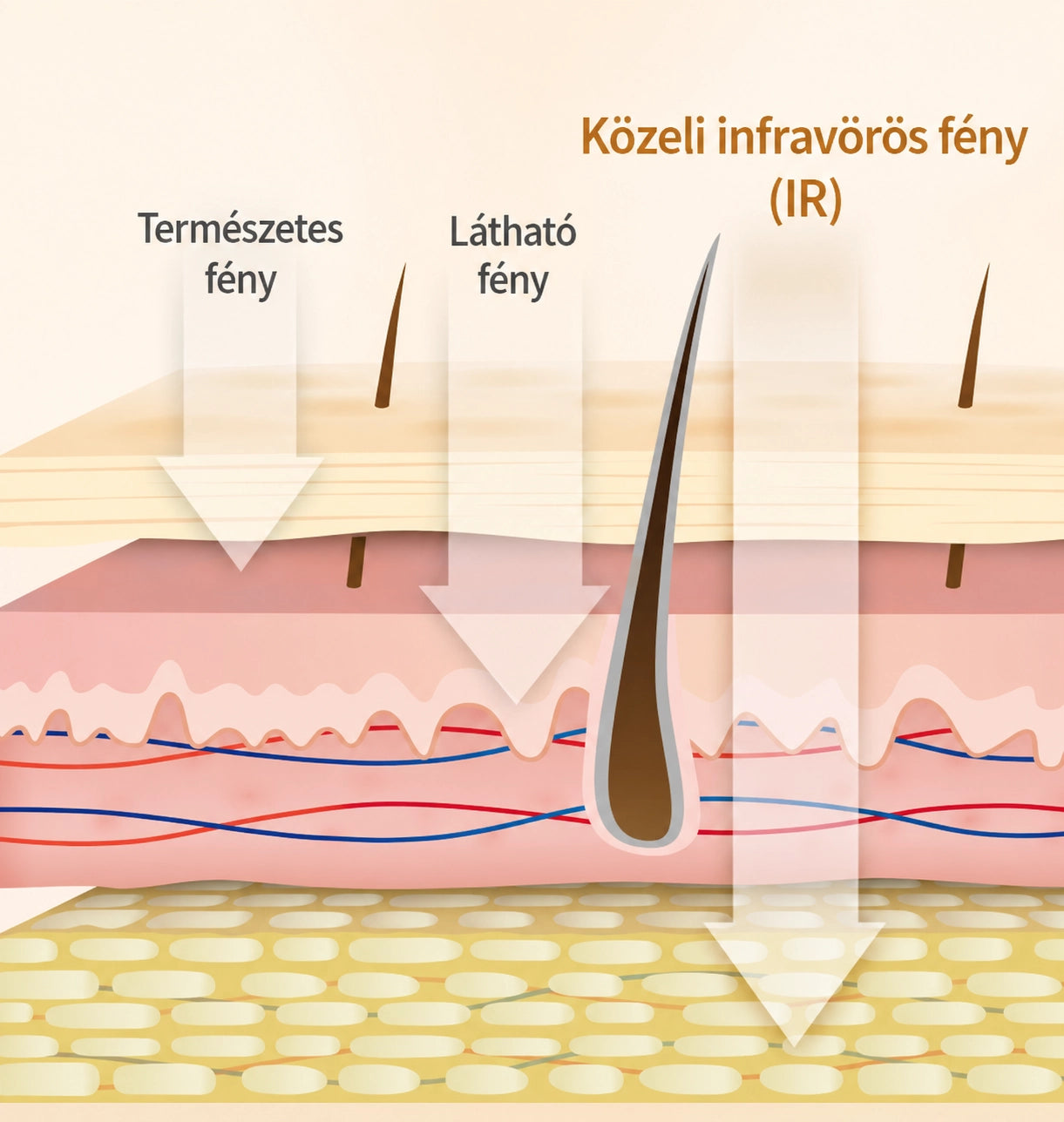 2. generációs OMEGA LED IR fényterápiás gép